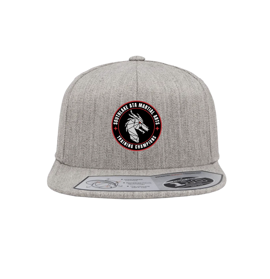 Training Champions Snapback Hat in Grey Htr